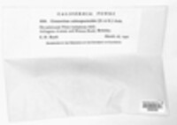Image Associated With the Occurence
